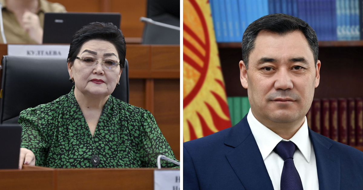 «Мы победили» – Надира Нарматова поблагодарила президента за подписание закона «Об НКО» изображение публикации