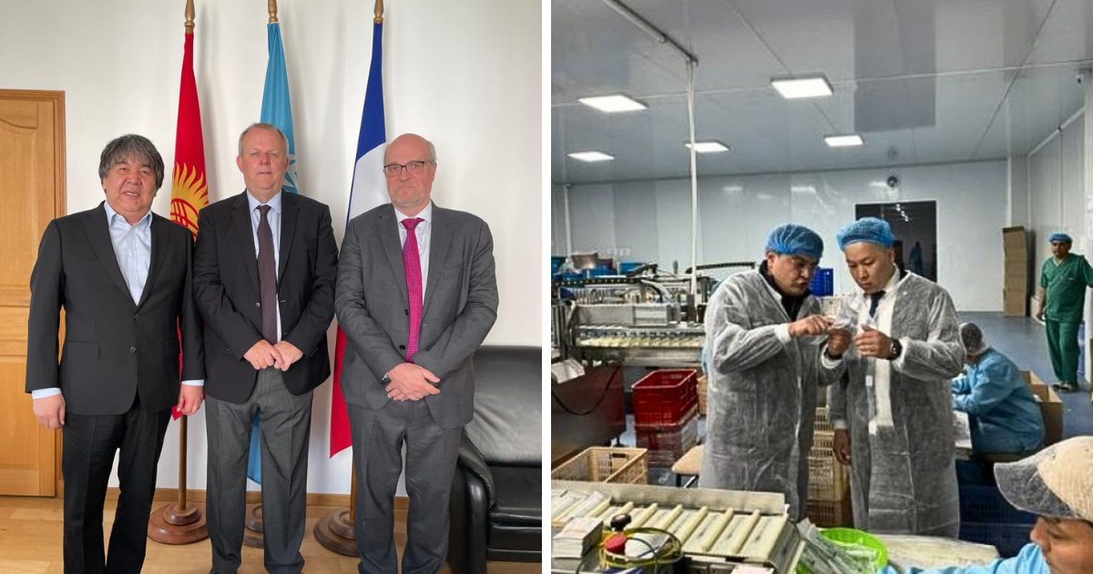 Кыргызстан развивает сотрудничество в сфере медицины с компаниями из Франции и Узбекистана изображение публикации