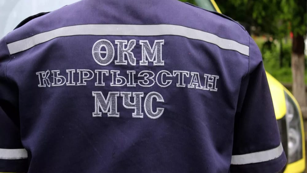 Спасатели МЧС эвакуировали 10 детей, запертых в селевой ловушке близ Папанского водохранилища изображение публикации