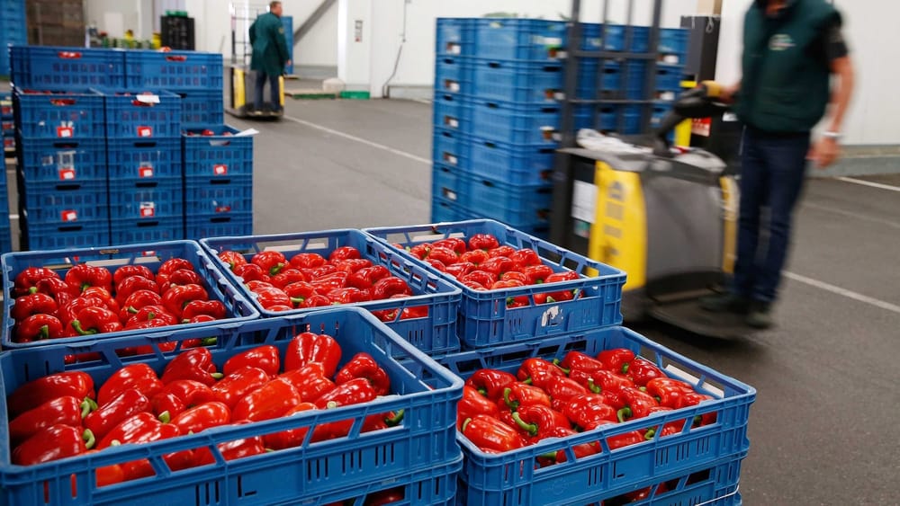 Министр экономики КР обозначил задачи недавно созданного центра «Кыргыз Экспорт» изображение публикации