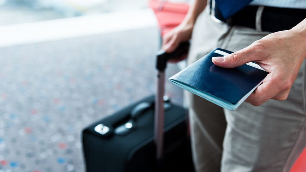 Приняты решения по лицензиям для 22 агентств трудоустройства за границей – список изображение публикации