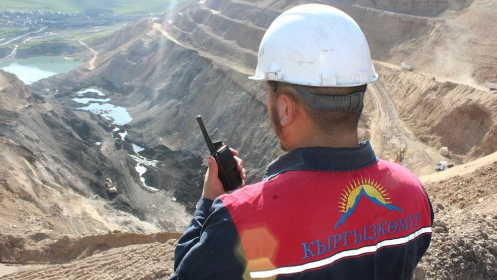 МВД выявило хищения в «Кыргызкомуре» – задержан бывший директор госпредприятия изображение публикации