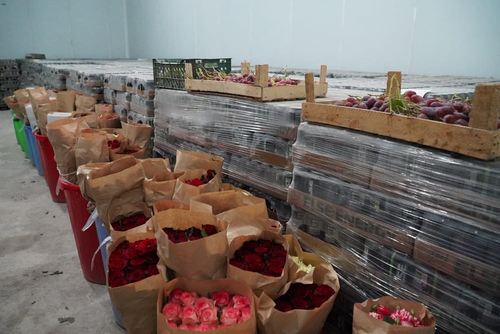 USAID помог удвоить общую емкость складов на юге КР и сократить порчу продуктов на 40% изображение публикации