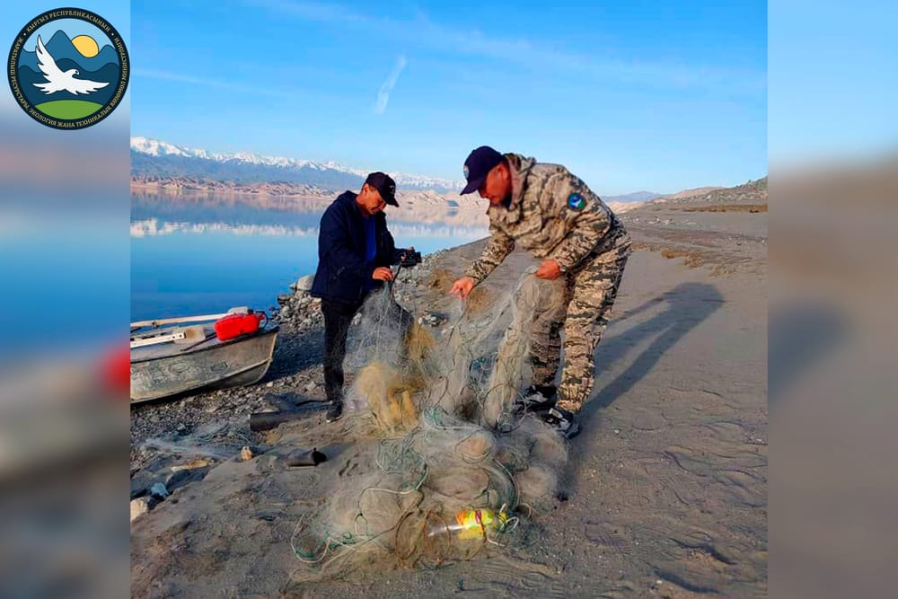 Из Токтогульского водохранилища вытащили 1000 метров браконьерских сетей изображение публикации
