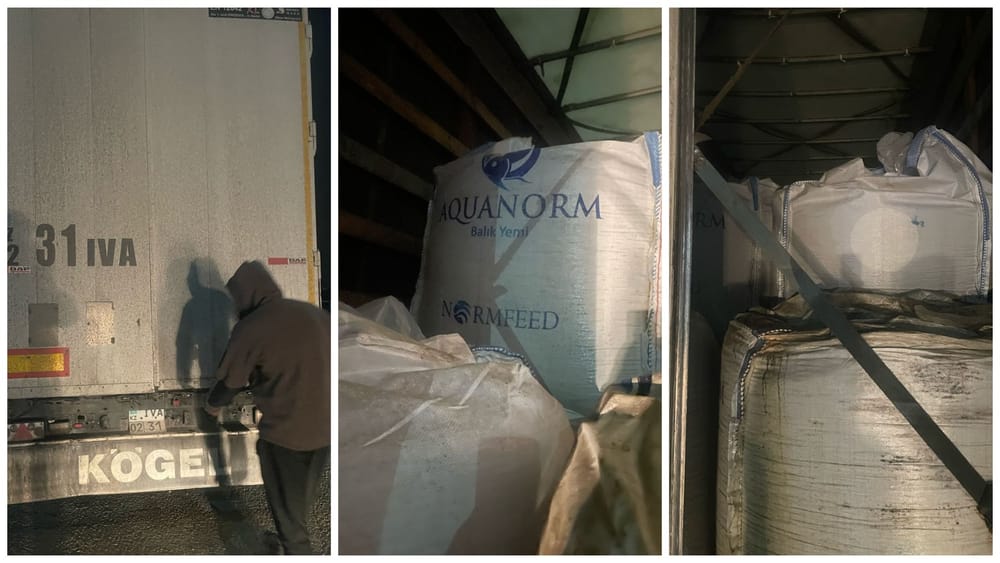 В Кыргызстан пытались незаконно ввезти 22.5 тонны корма для рыб — груз возвращен в РФ изображение публикации