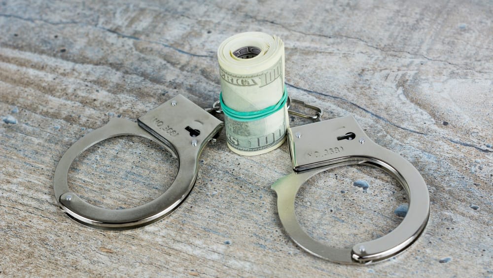 Кыргызстанка незаконно переоформила на себя 14 участков — ей помогал работник «Кадастра» изображение публикации