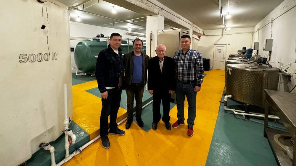 Сточные воды в Оше будут обеззараживать с помощью биотехнологий изображение публикации