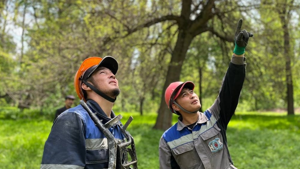 Где в Иссык-Кульской области 31 мая пройдут плановые работы на электросетях — список изображение публикации