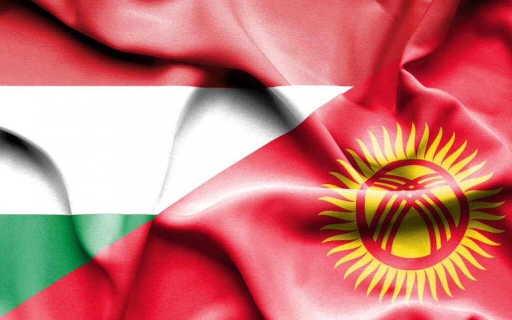 Нагира Шаршеева назначена членом правления Венгерско-Кыргызского фонда развития изображение публикации