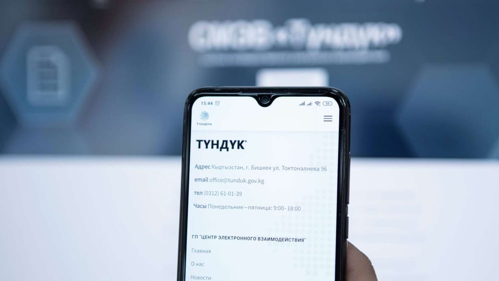 Справку об отсутствии задолженности по налогам теперь можно получить в приложении «Тундук» изображение публикации