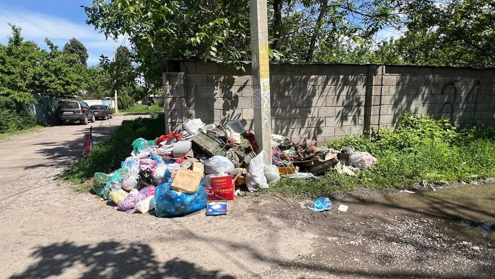 Хозсубъекты в Бишкеке оштрафовали на 308 тысяч сомов за нарушение благоустройства – и это только за один день изображение публикации