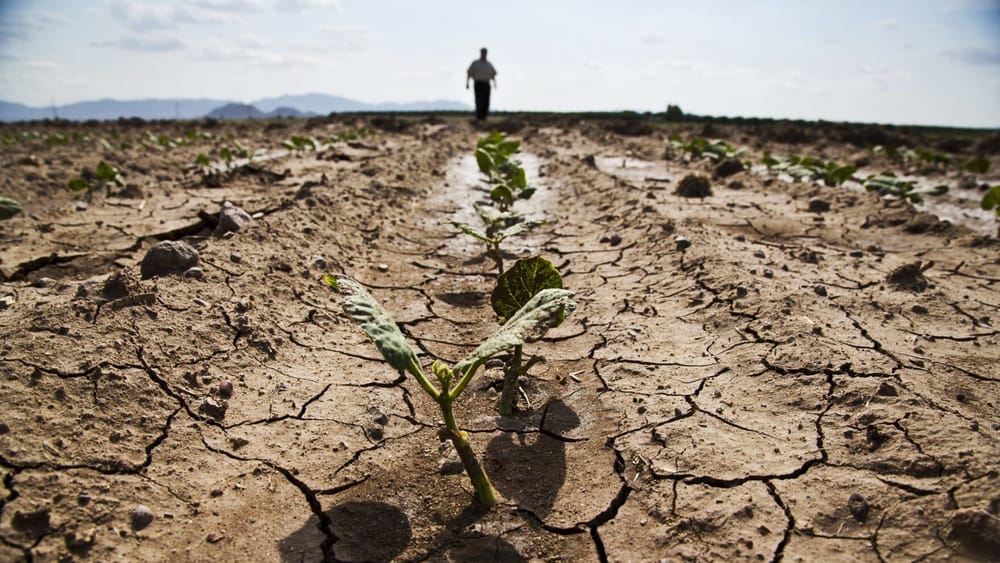 Теперь Кыргызстан может самостоятельно подавать проекты в Зеленый климатический фонд изображение публикации