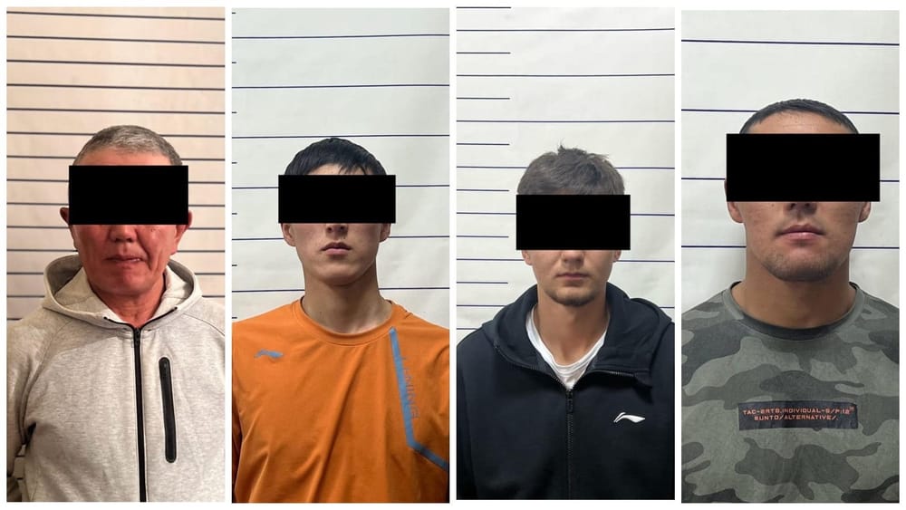 Задержаны подозреваемые в погроме швейного цеха с иностранцами в селе Аламудун изображение публикации