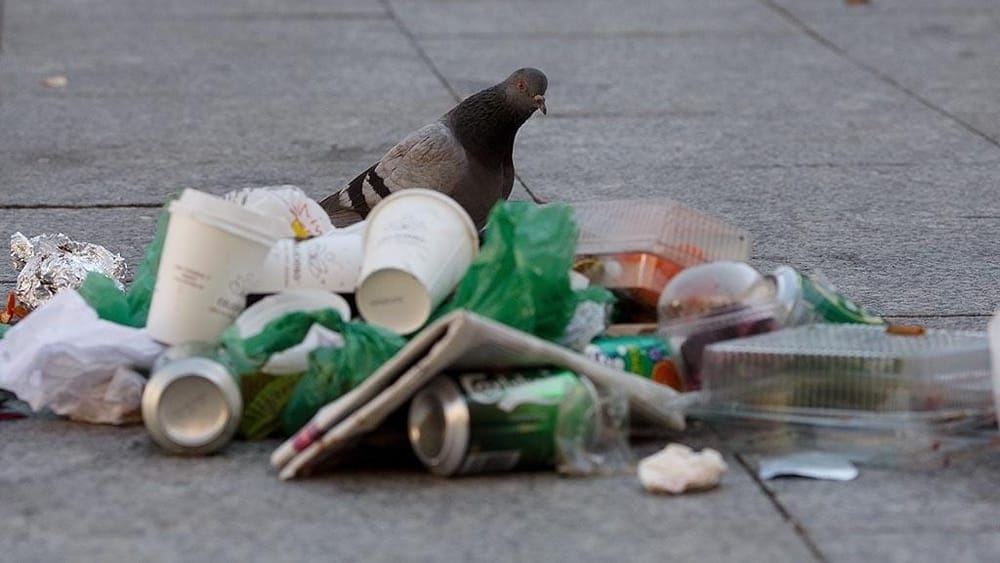 Бишкекчане получили штрафы на 1.5 млн сомов за антисанитарию изображение публикации