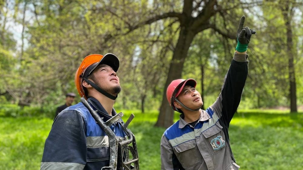 Где в Чуйской области 10 июня планируют отключить электроэнергию — список изображение публикации