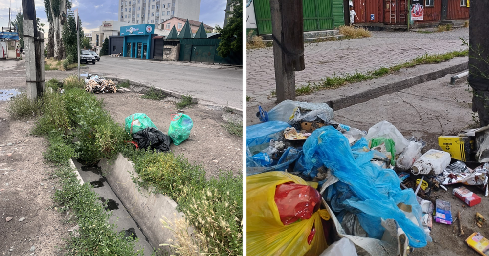 Компании в Бишкеке оштрафовали за выброс мусора в неположенных местах изображение публикации