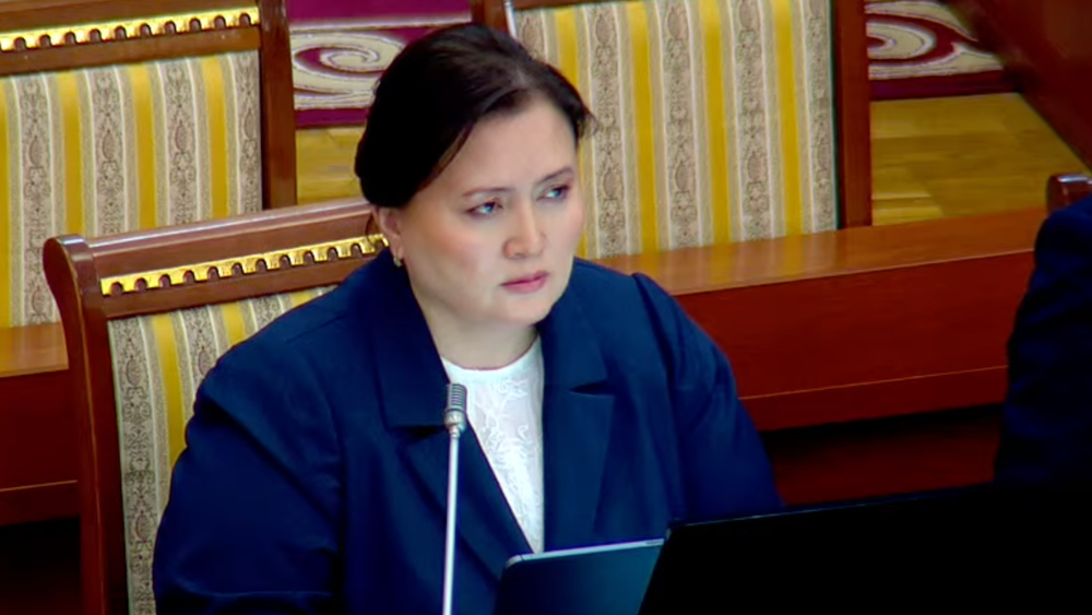 Жогорку Кенеш одобрил назначение Жылдыз Полотовой на должность министра труда изображение публикации