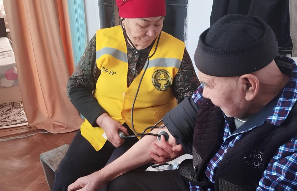 В КР уход за 9 тысячами граждан обеспечивают всего 920 соцработников изображение публикации