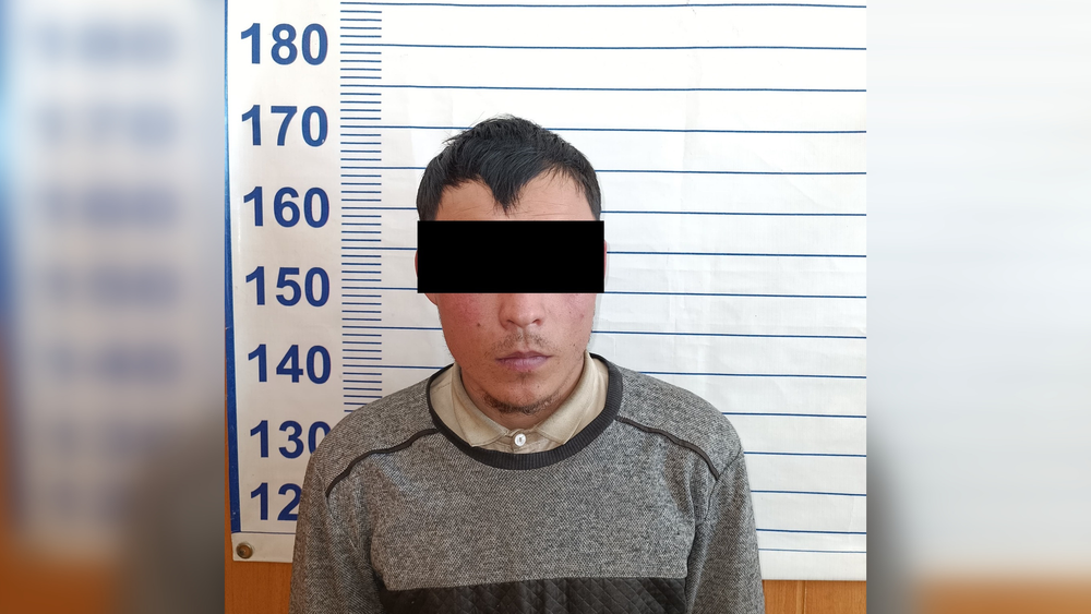 На Иссык-Куле задержали подозреваемого в краже лошадей стоимостью 1 млн сомов изображение публикации