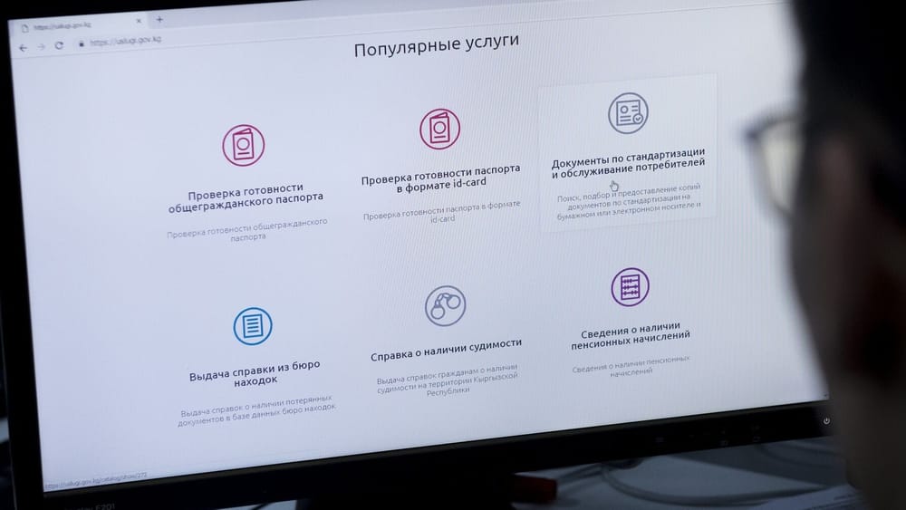 В Кыргызстане создали новое госучреждение для оказания госуслуг изображение публикации