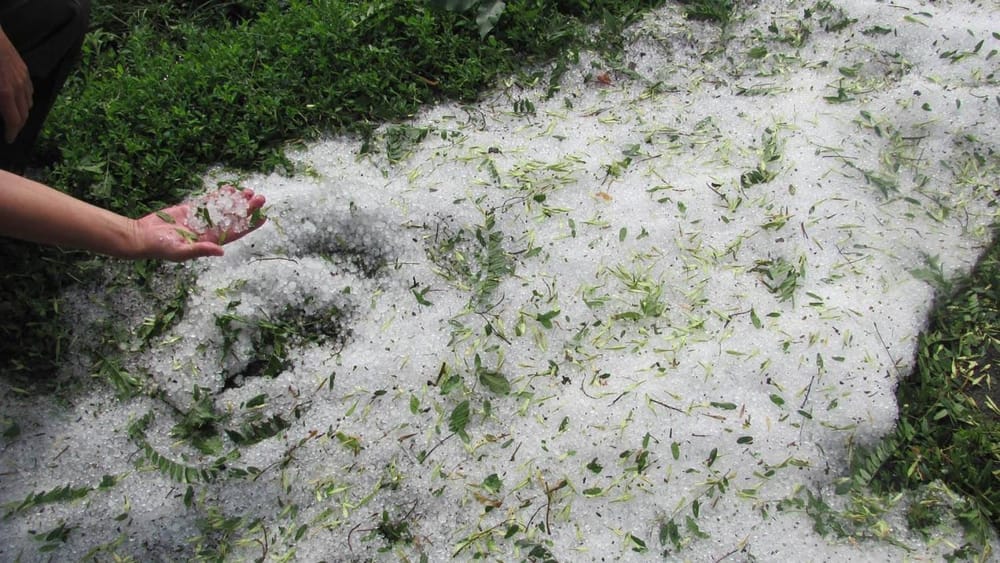 Град в Бакай-Атинском районе: повреждены более 50 га посевов, 15 домов остались без крыш изображение публикации