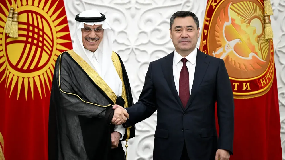 Садыр Жапаров предложил ИБР профинансировать строительство «Камбар-Аты-1» изображение публикации