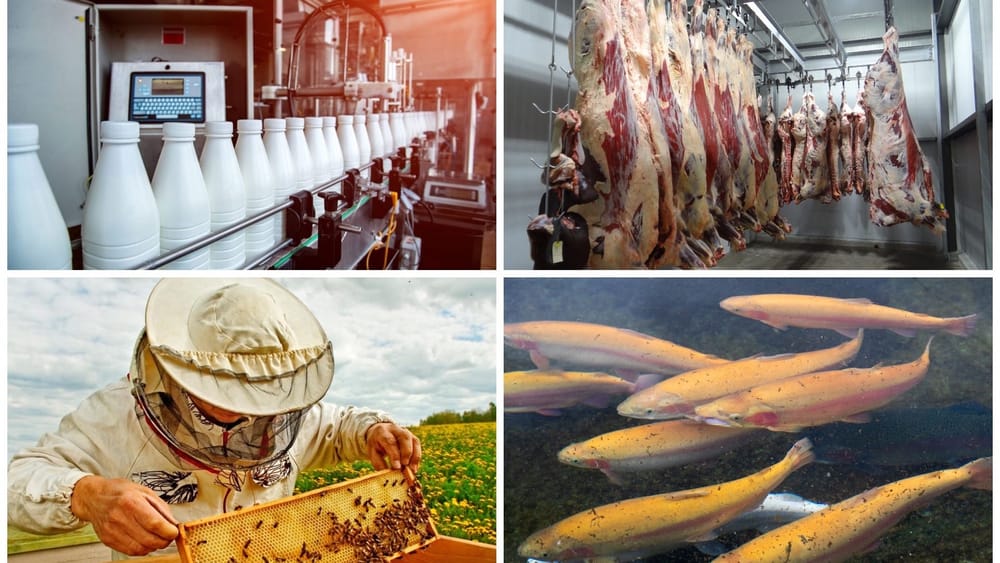 С начала года в реестр ЕАЭС внесли 41 предприятие из Кыргызстана изображение публикации