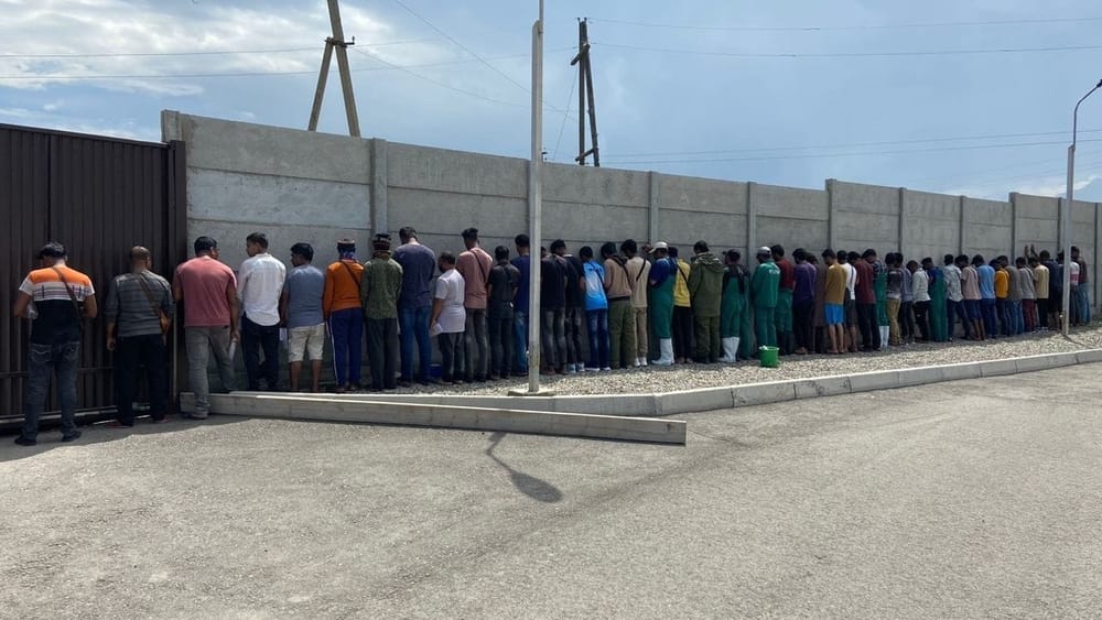 ГКНБ выявил на птицефабрике в Чуйской области 45 нелегальных мигрантов – они будут депортированы изображение публикации