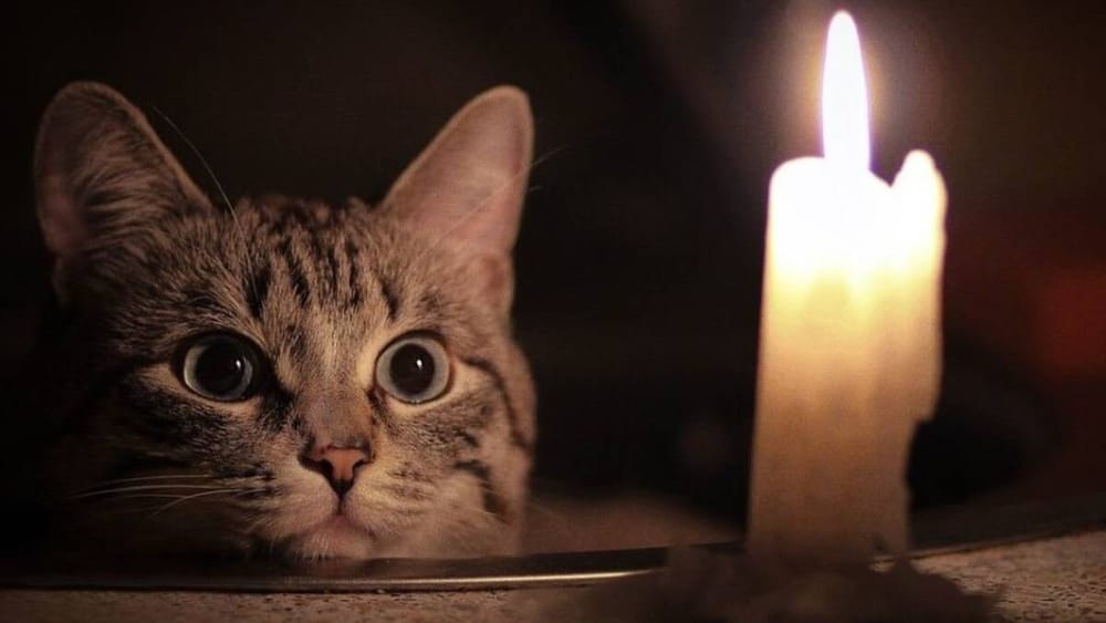 В Бишкеке отключат электроэнергию 6.2 тысячи абонентам за долги изображение публикации