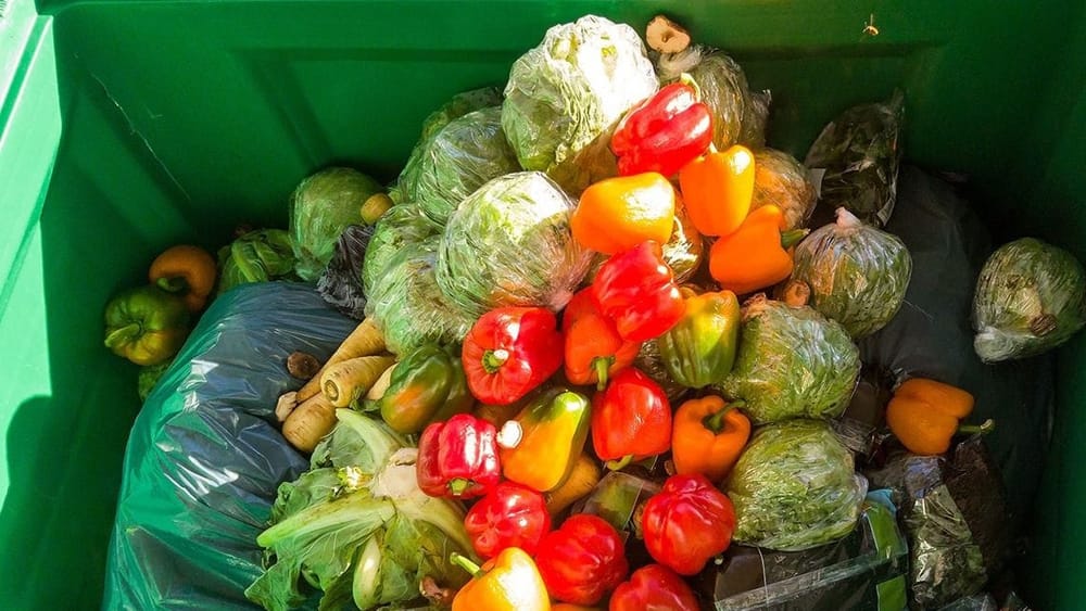 С начала года ветеринарная служба изъяла с продажи пять тонн овощей и фруктов изображение публикации