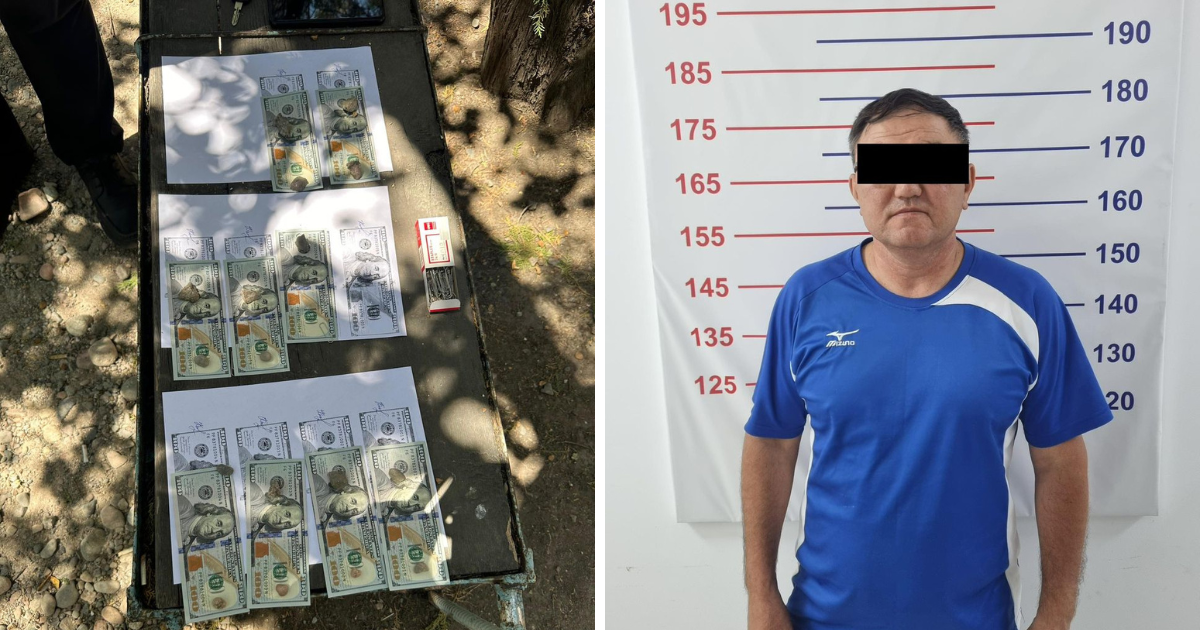 ГКНБ задержал ректора Кыргызской госакадемии физкультуры и спорта за вымогательство изображение публикации