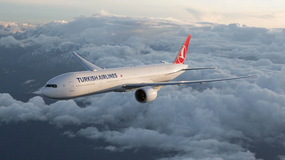 Агропродукцию из КР будут экспортировать в Шанхай рейсами Turkish Airlines по сниженным тарифам изображение публикации