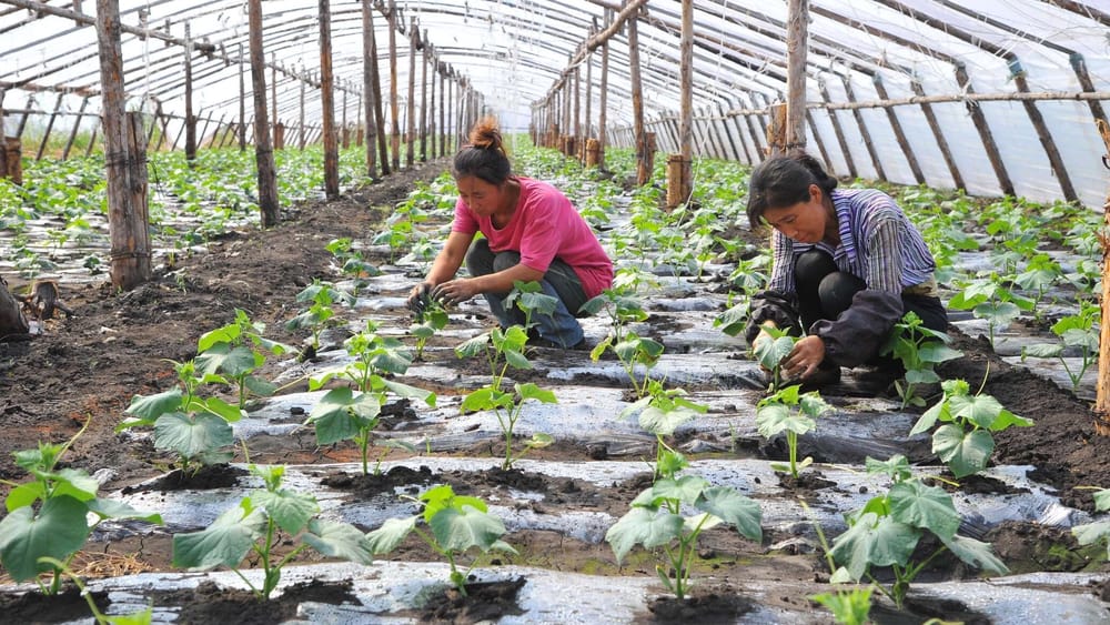 Малому и среднему бизнесу КР выдано более 7 млрд сомов беспроцентных кредитов изображение публикации