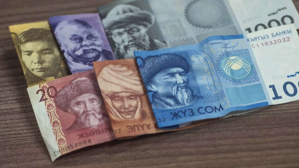 В Кыргызстане официально снижены ставки страховых взносов изображение публикации