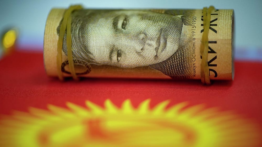 Средние реальные доходы на одного кыргызстанца в месяц в 2023 году составили 9142 сома изображение публикации