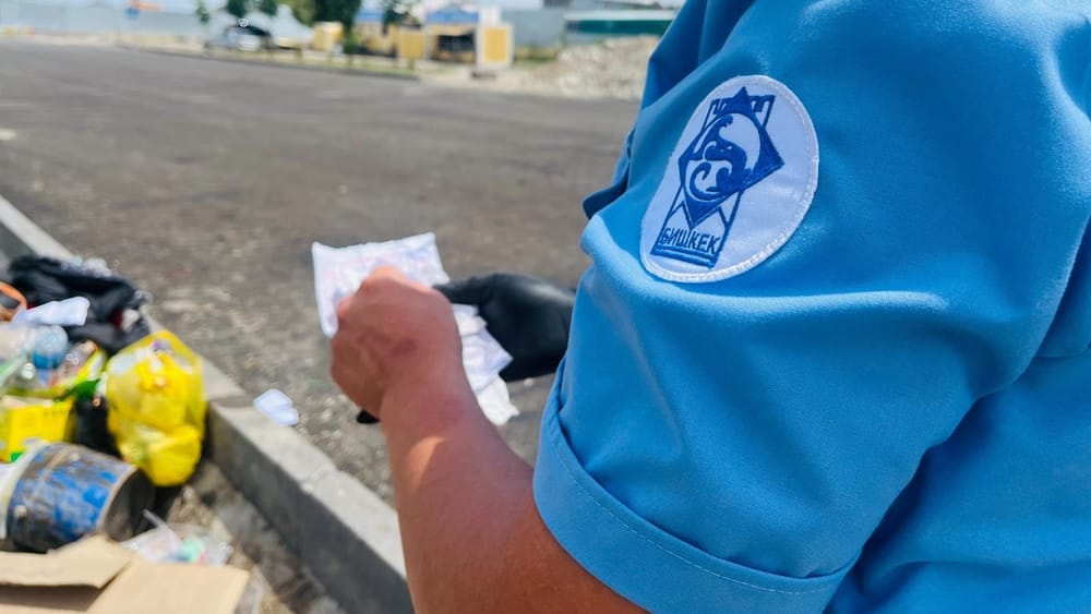 В Бишкеке восемь нарушителей оштрафованы на 107.5 тысячи сомов за выброс мусора в неположенном месте изображение публикации