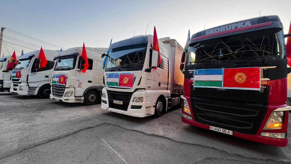 Узбекистан передал 95 тонн гумпомощи пострадавшим от селей в Ноокате изображение публикации