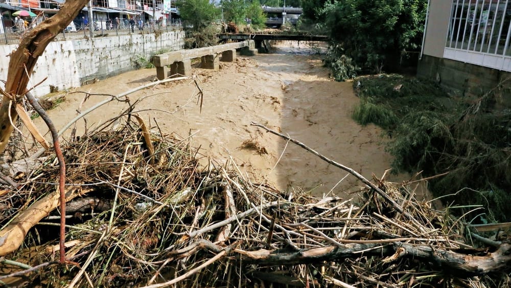 Сель в Ошской области: погибла семилетняя девочка изображение публикации