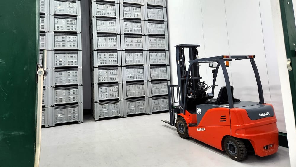 Кооператив «Ноокат алмасы» открыл крупнейший холодильный склад в Ноокатском районе изображение публикации