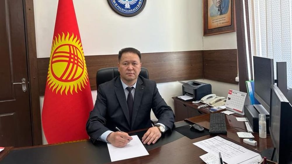 Садыр Жапаров снял Нурлана Дарданова с должности полпреда президента КР в Таласской области изображение публикации