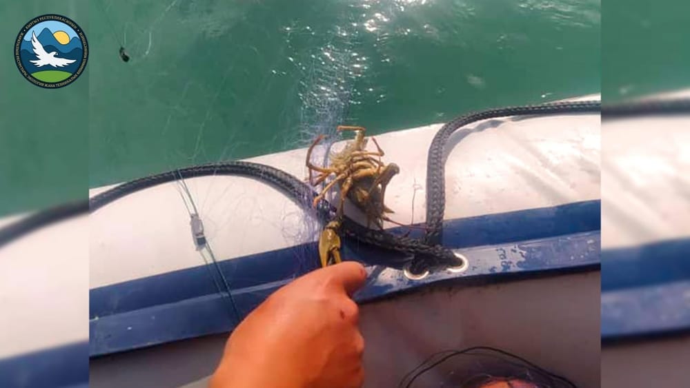 Незаконная ловля рыбы в Лейлекском районе: нарушителей оштрафовали, сети уничтожили изображение публикации