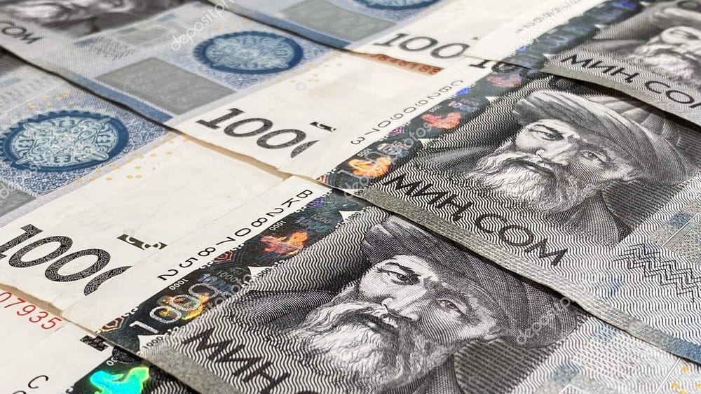 Поступления в бюджет КР по единому налогу составили 6 млрд сомов за полгода изображение публикации