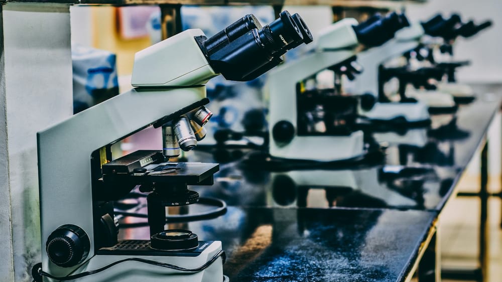 Россия планирует построить в КР биолабораторию для борьбы с «импортными» инфекциями изображение публикации