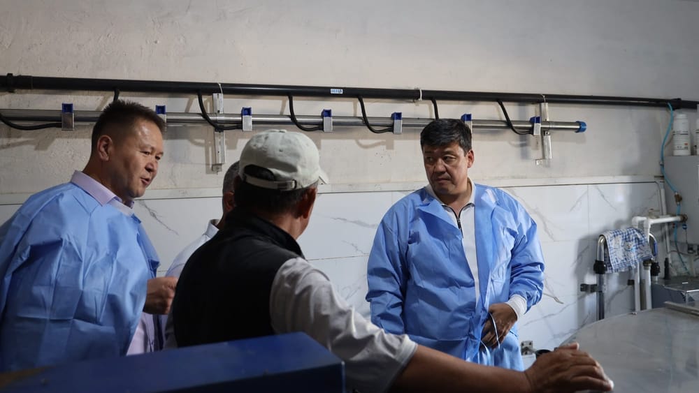В каждом селе должны быть доильный аппарат и цистерны для молока – Бакыт Торобаев изображение публикации