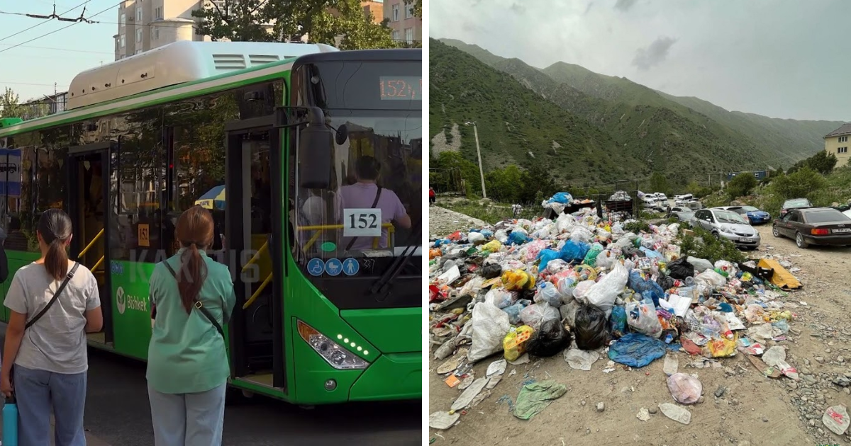 В КР ужесточат ответственность за складирование мусора, неуплату проезда и ряд других нарушений изображение публикации