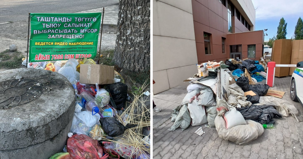 За неделю в Бишкеке наложили 3.6 млн сомов штрафов за нарушение благоустройства изображение публикации