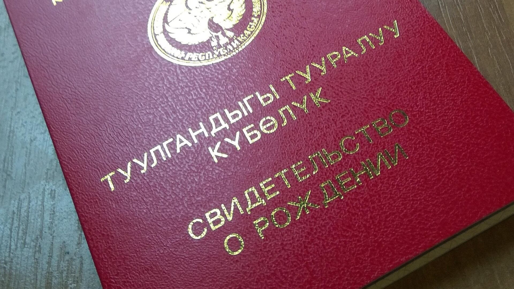 В Кыргызстане полностью решили проблему регистрации новорожденных изображение публикации