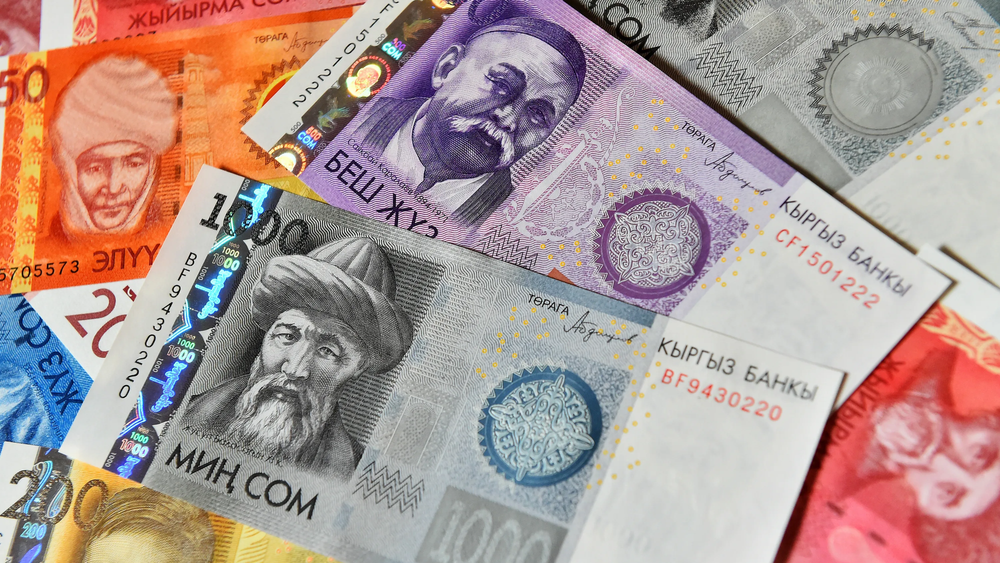 Сколько заработал Соцфонд на инвестировании средств Пенсионного фонда? Данные за семь месяцев 2024 года изображение публикации