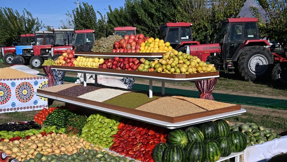 К 2040 году в Кыргызстане намерены перерабатывать не менее 50% всего сельхозурожая изображение публикации