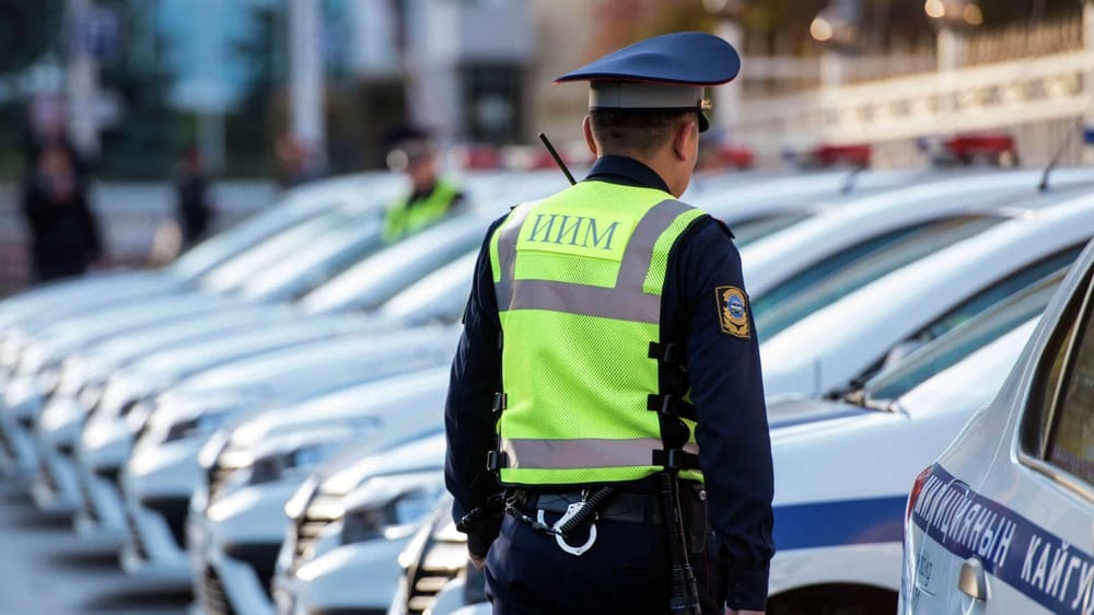 МВД проведет рейды «Арсенал», «Нелегал» и «Бродяга» в преддверии Дня независимости изображение публикации